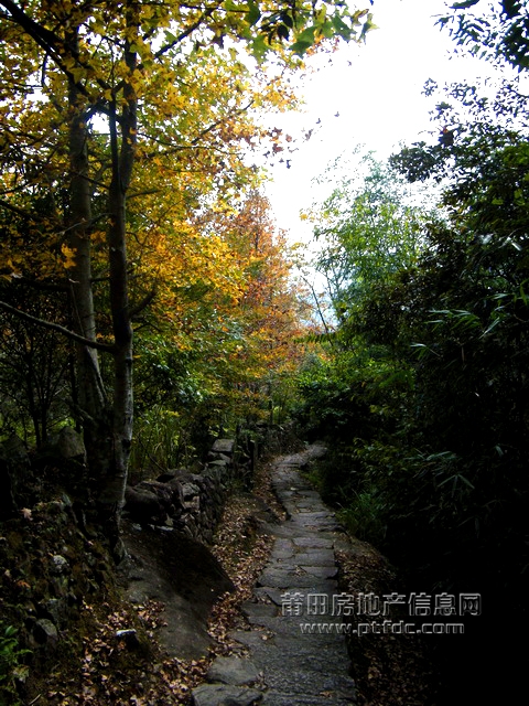 菜溪采风 (5).jpg