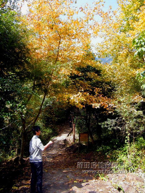 菜溪采风 (4).jpg