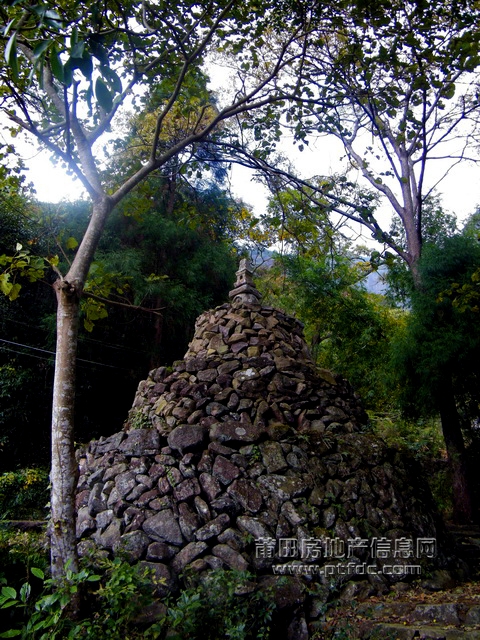 菜溪采风 (16).jpg
