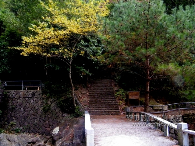 菜溪采风 (24).jpg