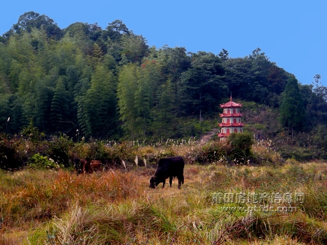 菜溪采风 (48).jpg