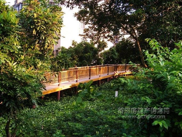 凤凰山水渠休闲幽径26.jpg