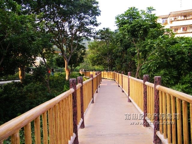凤凰山水渠休闲幽径53.jpg