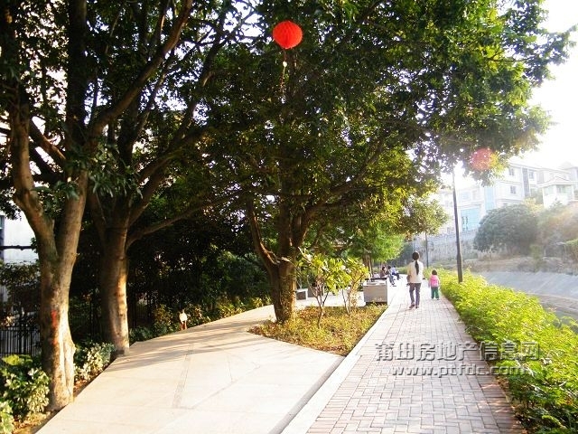 凤凰山水渠休闲幽径16.jpg