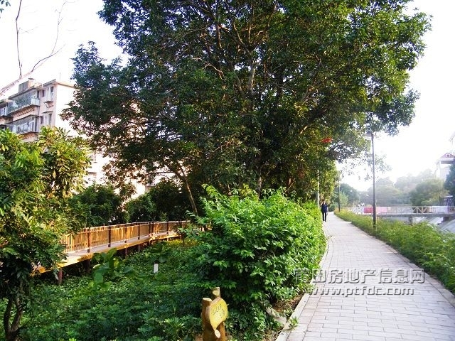 凤凰山水渠休闲幽径25.jpg