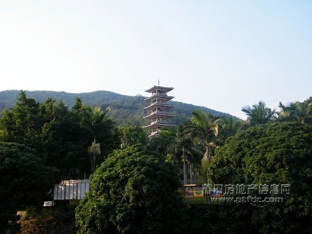 凤凰山水渠休闲幽径01.jpg