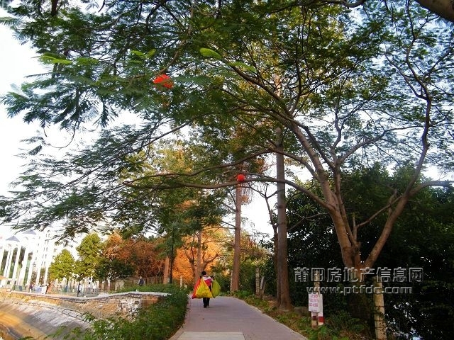 凤凰山水渠休闲幽径69.jpg
