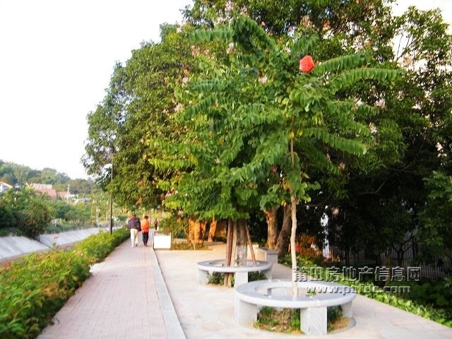 凤凰山水渠休闲幽径61.jpg
