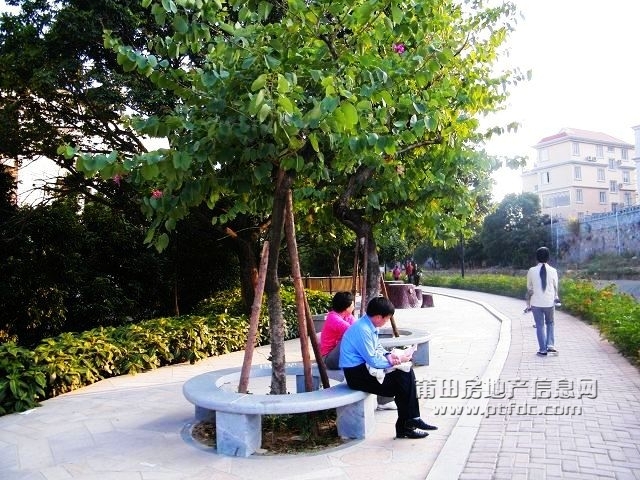 凤凰山水渠休闲幽径19.jpg