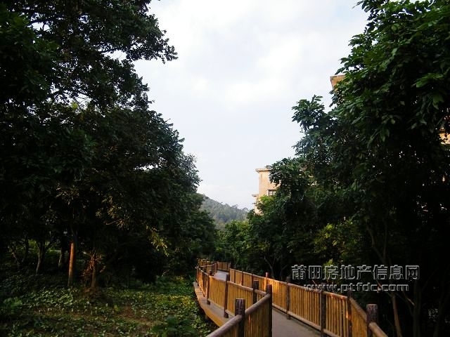 凤凰山水渠休闲幽径50.jpg