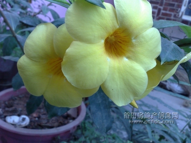 20091206892.jpg