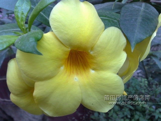 20091206891.jpg