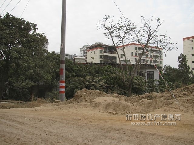 莆田迎宾大道东园路后塘段28.jpg