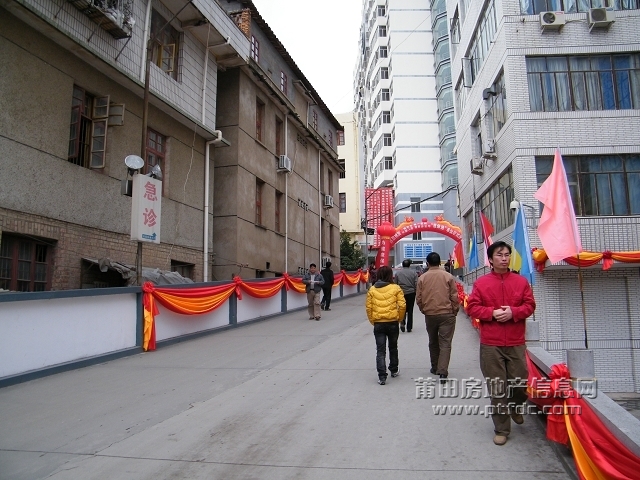 DSCF2990.jpg