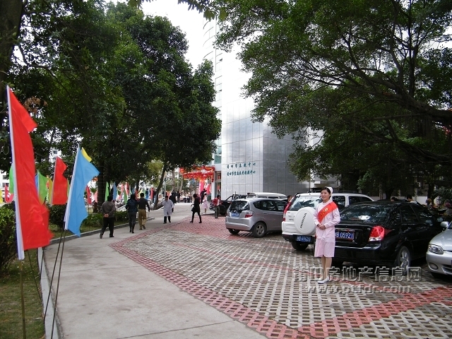 DSCF3001.jpg