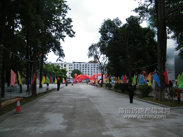 DSCF2997.jpg