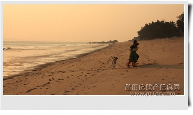 平海印象 (5).jpg
