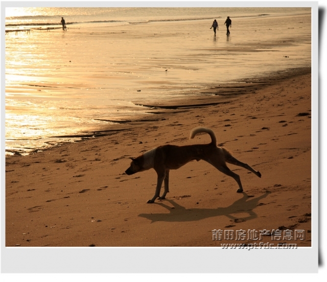平海印象 (9).jpg
