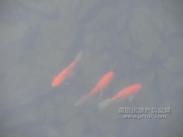 冬至南山扫墓记50.jpg