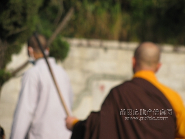 冬至南山扫墓记13.jpg