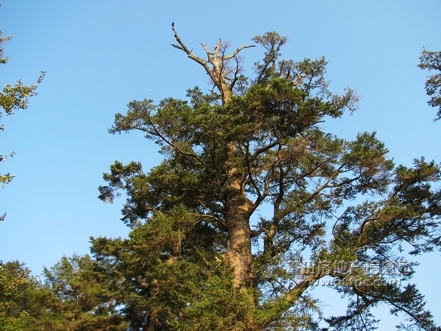 冬至南山扫墓记43.jpg