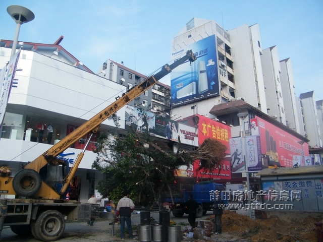 莆田步行街改造图片 (8).jpg