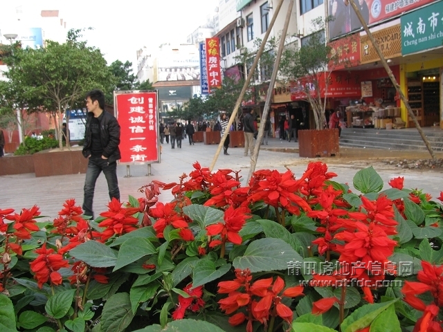 IMG_1949.jpg