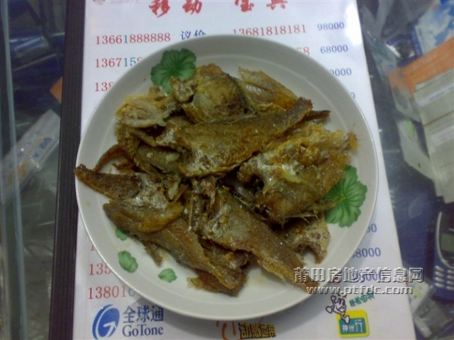 小鱼.jpg