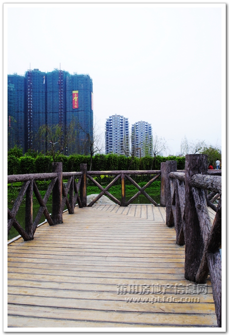 玉湖寻春 (21).jpg