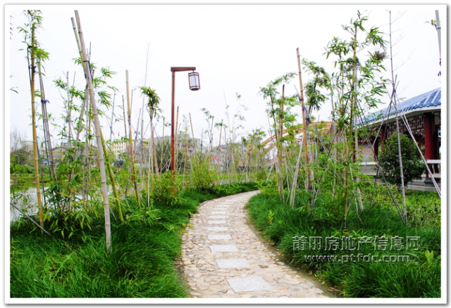 玉湖寻春 (13).jpg