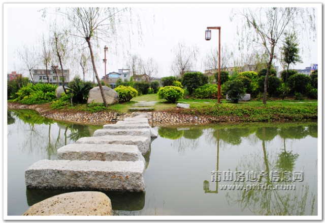 玉湖寻春 (26).jpg