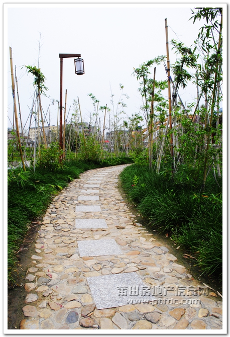 玉湖寻春 (14).jpg