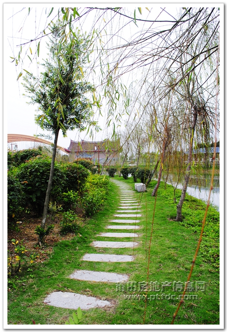 玉湖寻春 (29).jpg