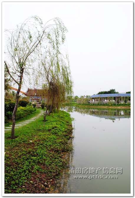玉湖寻春 (28).jpg