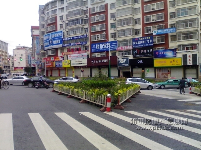 20100403781.jpg