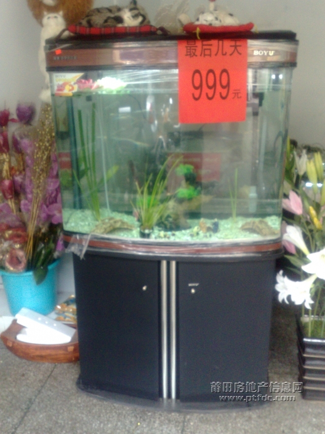 20100618454.jpg