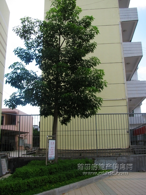 白塘中心小学77.jpg