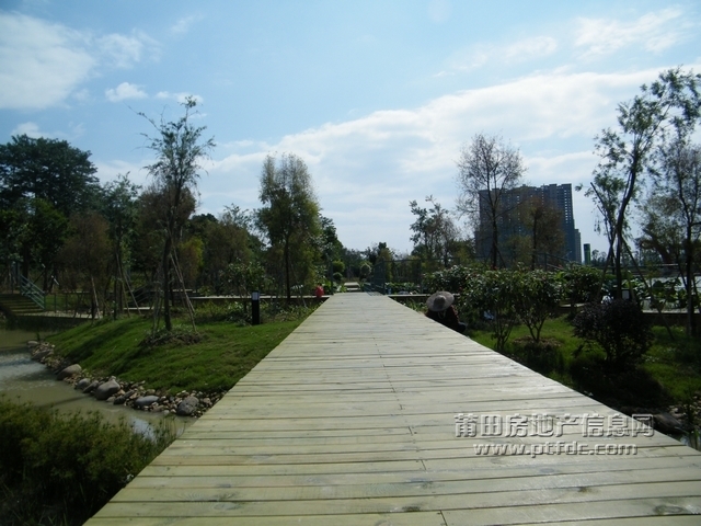 DSCF0020.jpg