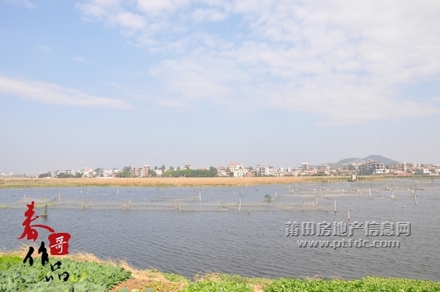 土海湿地公园2.jpg