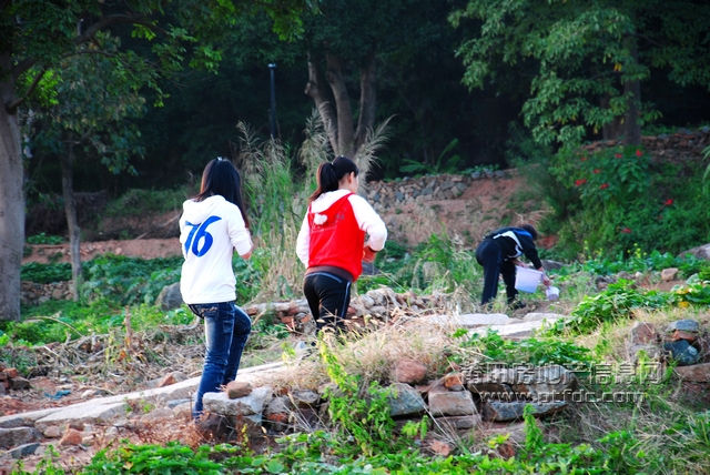 东岩山公园 (10).jpg