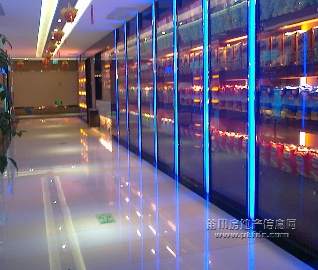 20110119041.jpg