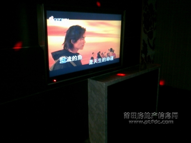 20110119085.jpg