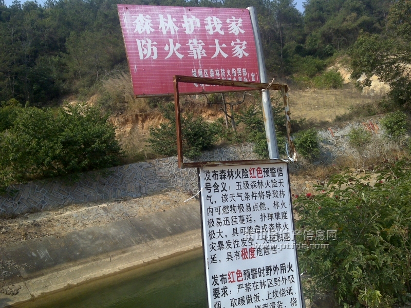20110203655.jpg