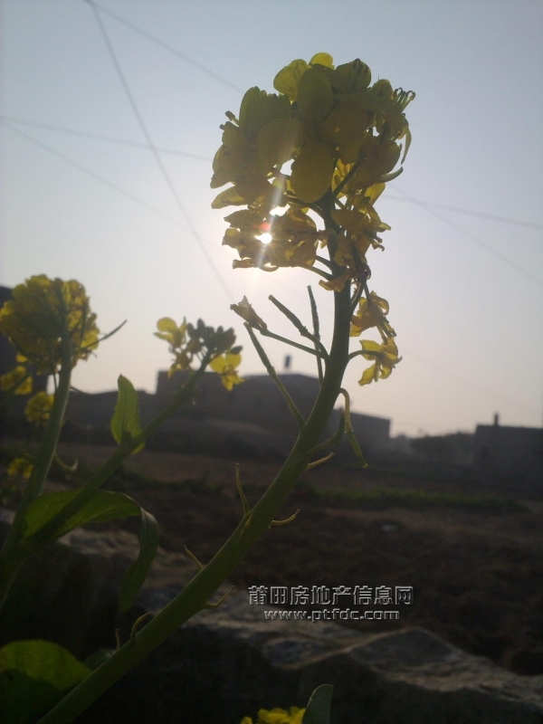 201102052700.jpg