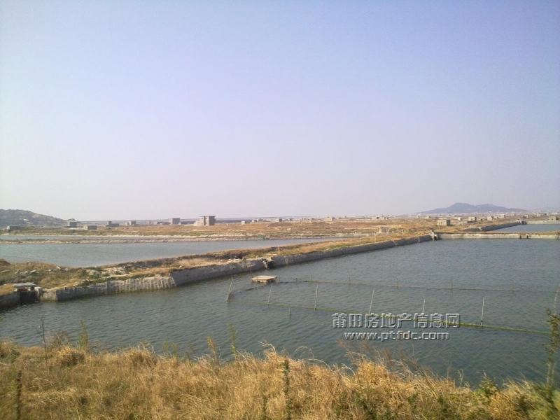 201102072724.jpg