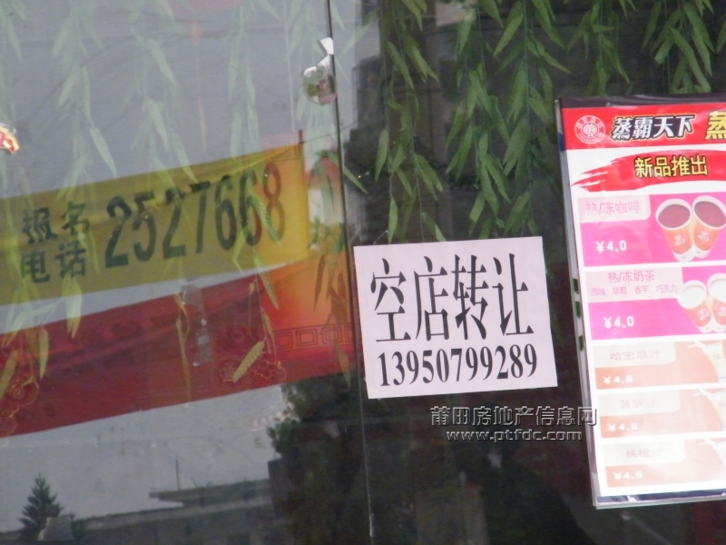 DSCF2282.JPG
