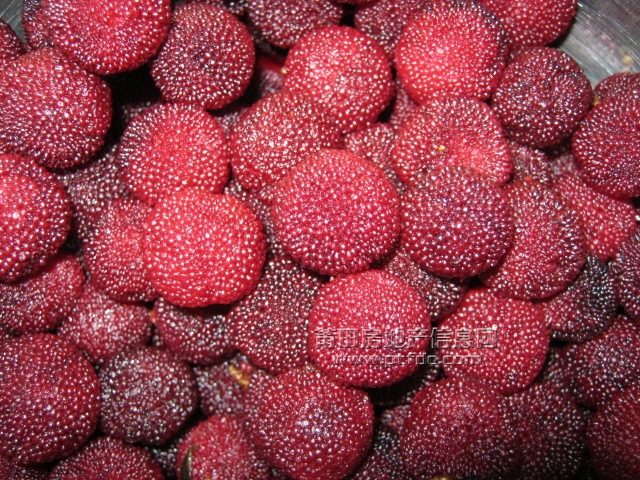 照片 146.jpg