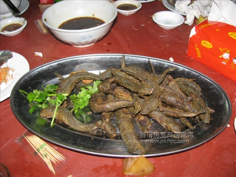 IMG_0332.jpg