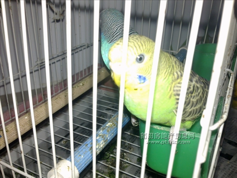 201107121296.jpg
