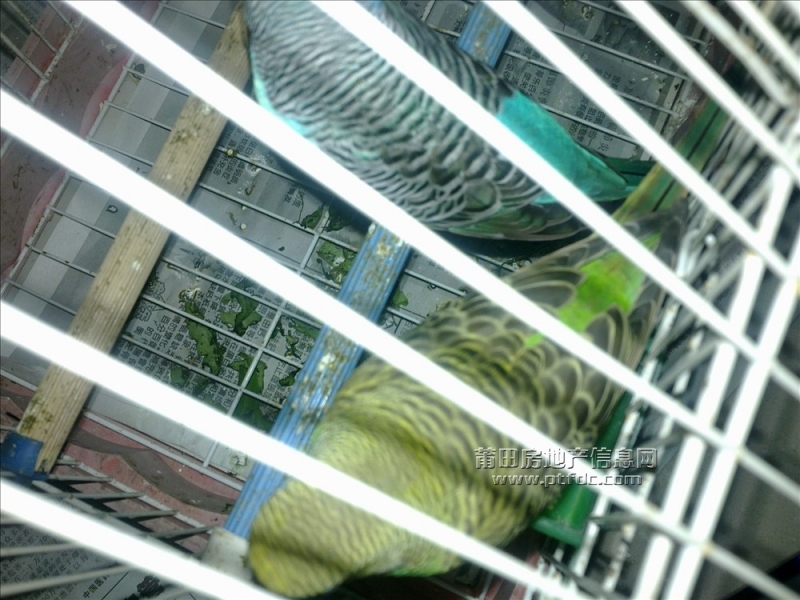 201107121300.jpg